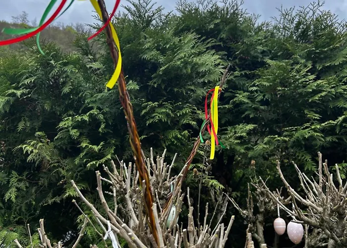 Ambrusha Apartamento *