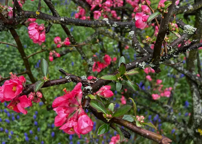 Apartamento Ambrusha